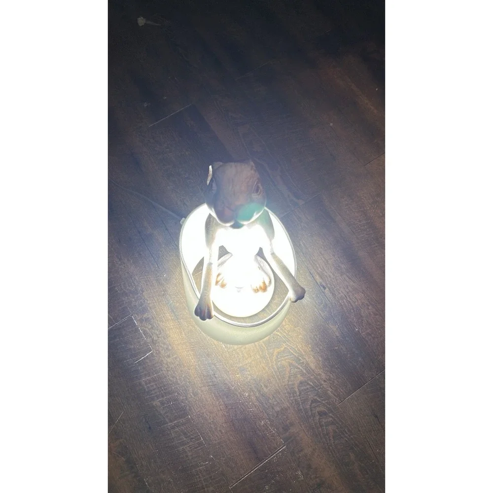 Whimsical Beatrix‎ Bunny Rabbit Accent Table Lamp